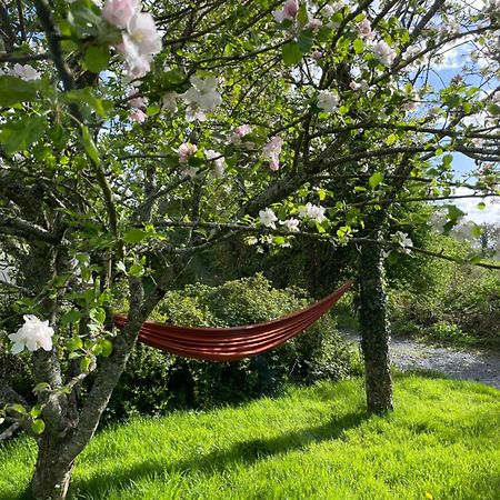 Gite A La Campagne Le Mesnil-Villeman Esterno foto